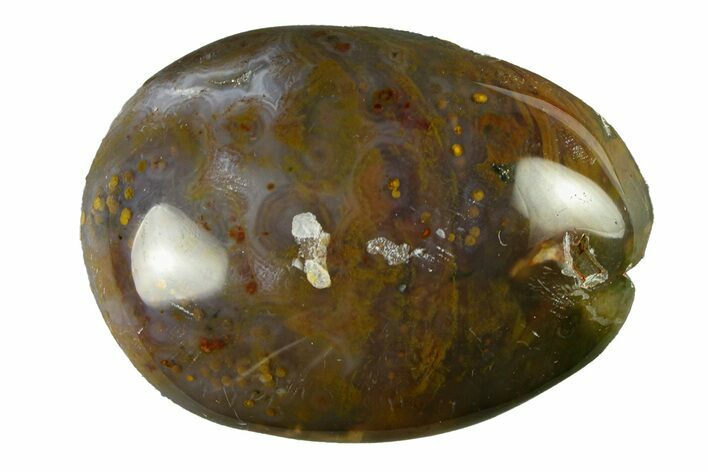 Polished Ocean Jasper Stone - New Deposit #293668